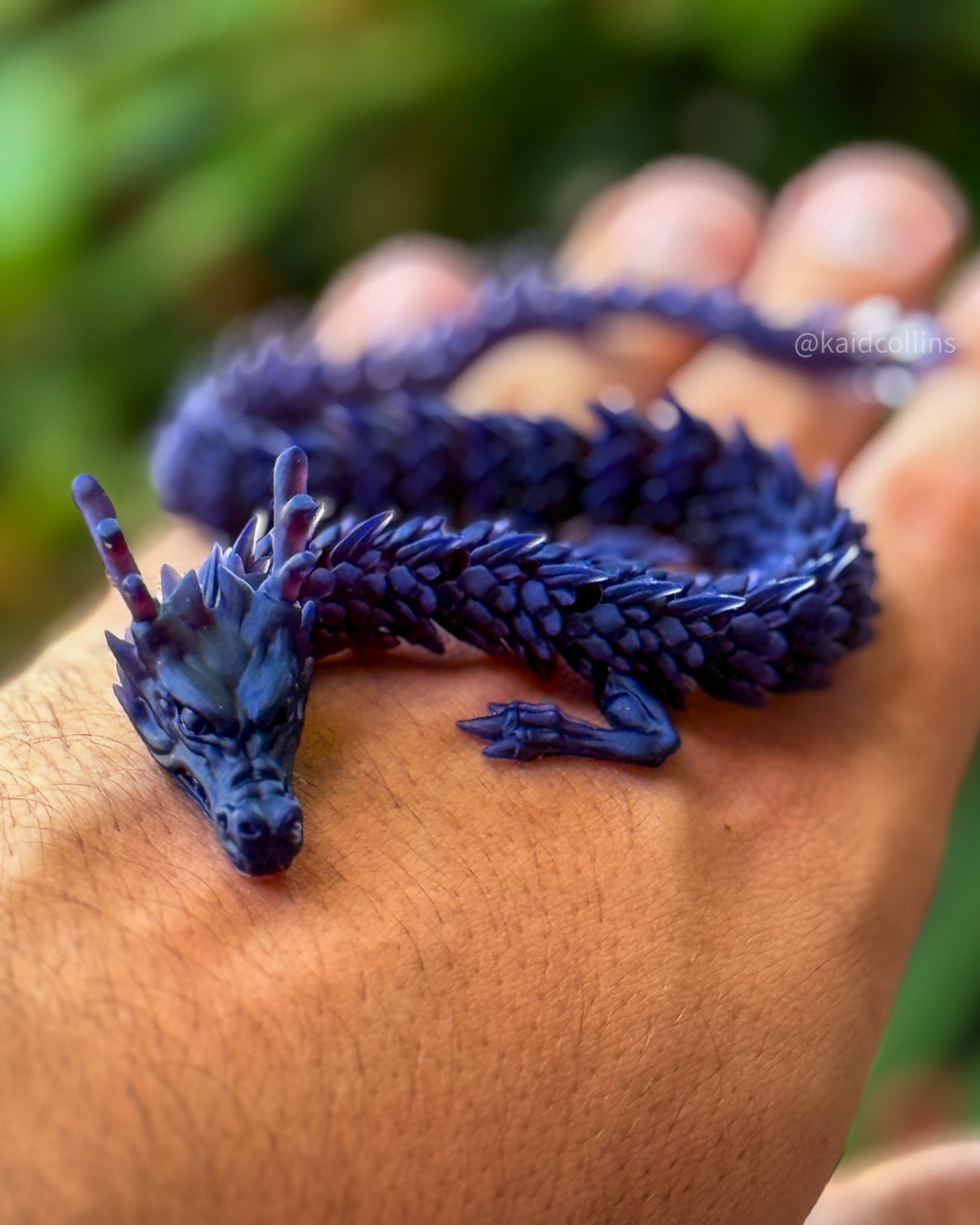 Hopeman Dragon Collectibles